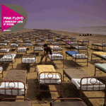 pf-momentary pf-momentary