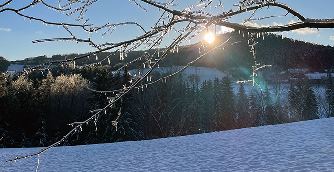 Weihnachtsalben Klassiker Foto Manfred Horak