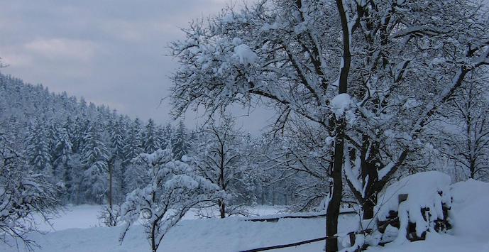 12 weihnachtslieder aus österreich