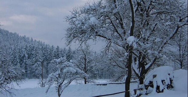 12 weihnachtslieder aus österreich