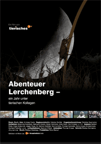 abenteuer-lerchenberg