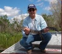 babyalligator