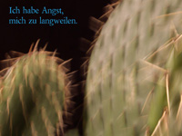 baumueller08-i