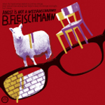 bernhard_fleischmann_cover