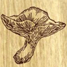 daau-cd