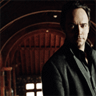 dave-matthews-2010