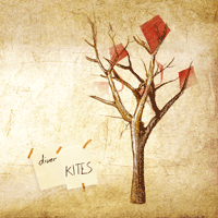 diver_kites_cover