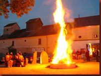 filmhofwein4tel