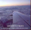 finkel_spendel_distorted_skies