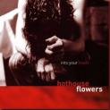 hothouse_flowers_into_your_heart