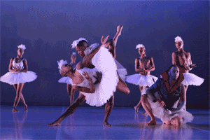 impulstanz14-swanlake2