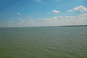 neusiedler-see-faehre