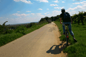 neusiedler-see_003