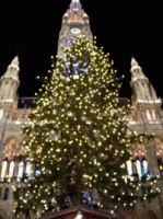 Rathaus012