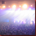 sportfreunde_stiller_live sportfreunde_stiller_live