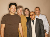 stern_mike_yellowjackets