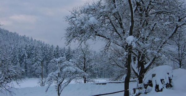 12 weihnachtslieder aus österreich