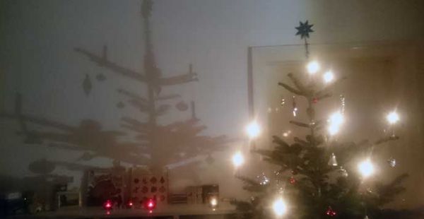 weihnachtsbaum kulturgeschichte Text und Fotos: Manfred Horak